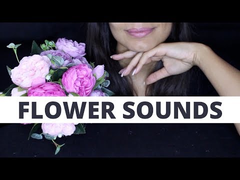 ASMR FLOWER SOUNDS (scratching, squishing)  (NO TALKING)