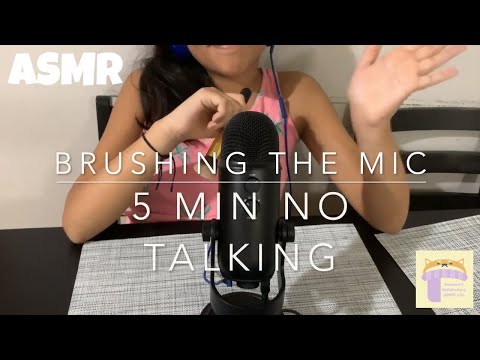 ASMR ❈ 5 min Intense Mic Brushing | No Talking