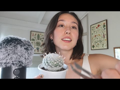 ASMR WITH A CACTUS | Quiet whispers, Hand movements,