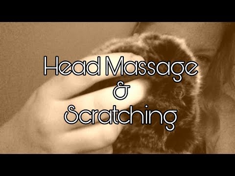 ASMR Head Massage/Scratching [Tascam/windscreen] No Talking