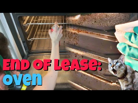 Pro OVEN CLEANING TIPS for End of Lease | Bond