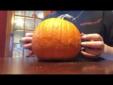 ASMR| Pumpkin Tapping and Scratching| No talking| Lofi