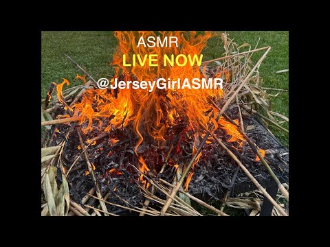 🚨LIVE NOW🚨ASMR Relaxing Bamboo Burning and Poping | Ultimate Brain Sensation
