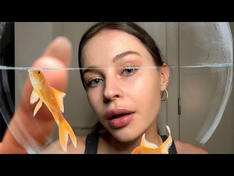 99% Of You Will Fall Asleep In 20 Minutes ASMR 💤 | Fishbowl, Glass Tapping, Plucking, Oil Massage ✨