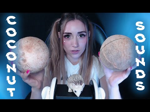 Coconut sounds, tapping, scratching, liquid sounds | ASMR_kotya