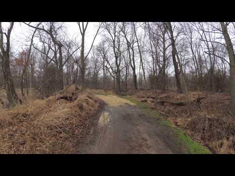 ASMR Hiking on a Peaceful Dirt Path (Part 1)