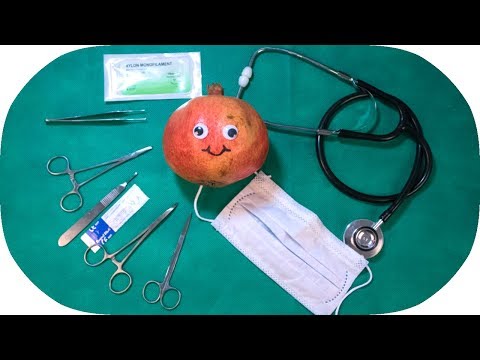 👩🏼‍⚕️ ASMR Surgery On A Pomegranate *satisfying*