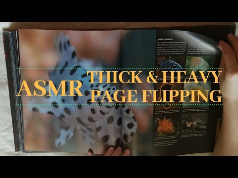 📖 ASMR Flipping through a Book with Thick & Heavy Pages (No Talking) 📖
