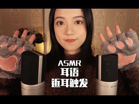 [ASMR] Close-up Triggers and Whispers