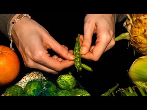 FOOD ASMR - Unexpected Tingles (No Eating)