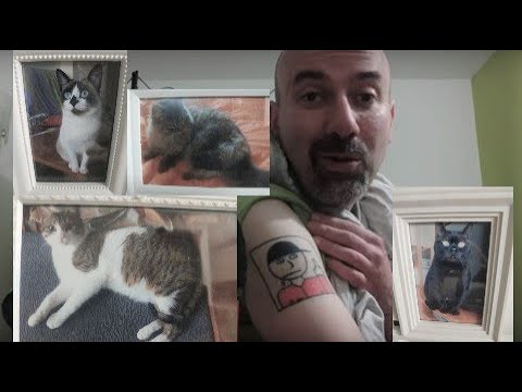 Storytime cómo acabé con 4 gatos en casa || Asmr en español
