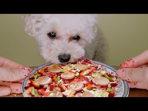 ASMR Mukbang DIY PIZZA FOR DOGS Homemade dog friendly pizza 강아지 피자 요리 먹방 犬用ピザ 狗披萨