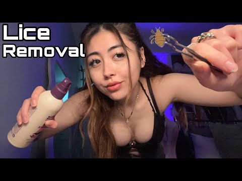 ASMR fast and aggressive lice examination and removal 🐞🪮 (with mouth sounds)💤