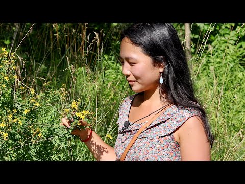 [ASMR] Natural Herbal Medicine Part 1: Picking Medicinal Flowers and Plants 🌼