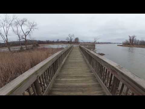 ASMR Hiking Over a Marsh and Creaking Bridge (Full Video)