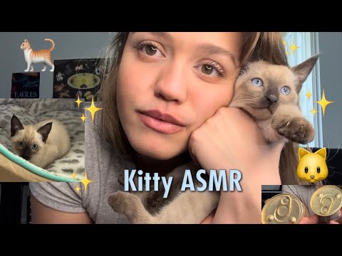 ASMR My New Kitty & Cat Stuff Haul