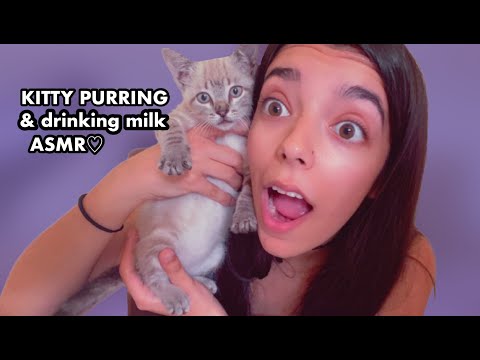 ASMR | Baby Kitten drinks milk & purrs💙🐱 (best tingles for your ears everrrrr) 💖