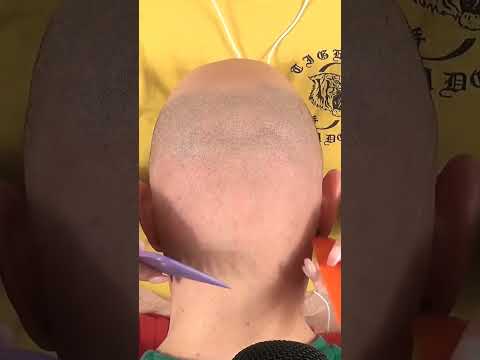 When Combing The Wrong Model, But The Brushing Sounds Make Great ASMR