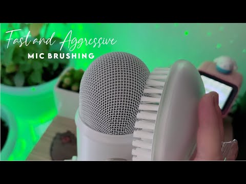 ASMR Loud, Rough, Fast and Aggressive Mic Brushing | NO TALKING