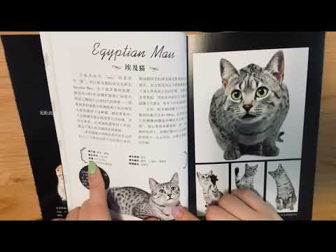 ASMR📚Whisper in Chinese🐈The Cat Book（Part 2）