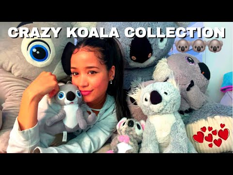 ASMR | Sia's Crazy Koala Collection 🐨🐨🐨 (Super Requested)