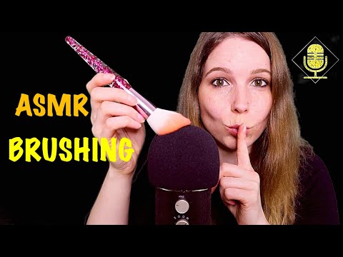 ASMR Brushing Microphone and Camera || ASMR deutsch / german