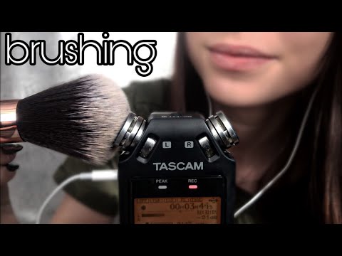 [ASMR] Tascam brushing NO TALKING AFTER INTRO | ASMR Savage