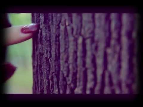ⓈInternational ASMR sound: Wood. Nature / АСМР русский: Дерево.Природа.