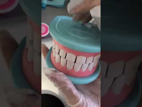 Dentist Livestream (featuring Mrs. Pickle) 🦷✨ PART 2