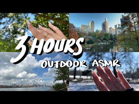 3 HOURS of OUTDOOR ASMR background noise for working, studying, relaxing, sleeping 🌱🌸🌞