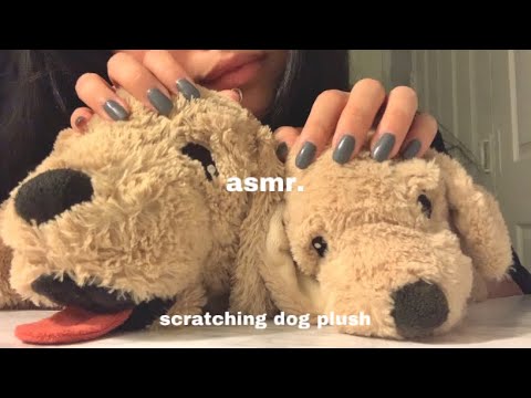 ASMR | scratching dog plushie lofi