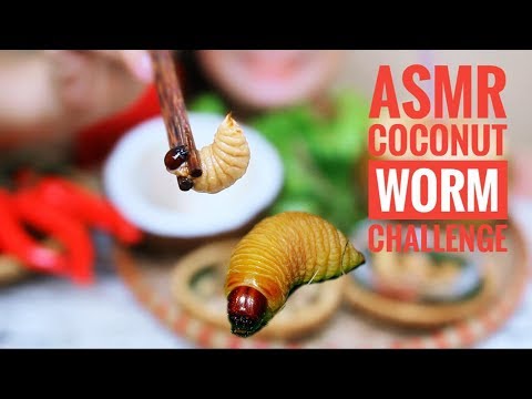 ASMR Coconut worm,Viet Nam exotic food challenge,eating sounds|LINH-ASMR