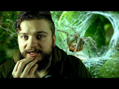 Whispering about the Sydney Funnel-web Spider! (Educational ASMR)