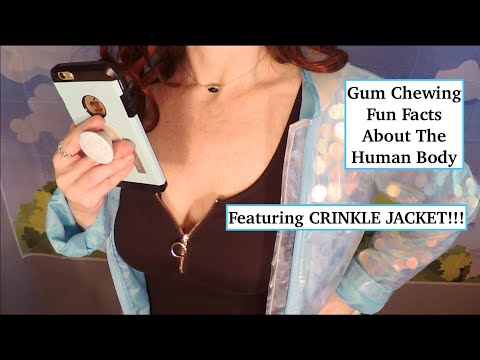 ASMR Gum Chewing | Fun Facts About The Human Body | CRINKLE JACKET | Close Whisper