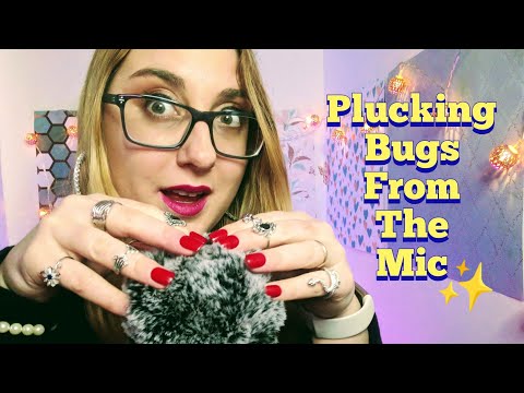 ASMR Looking For Bugs in the Mic ~ Fluffy Cover, Foam Cover, No Cover + Mic Scratching