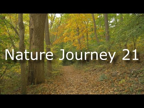Nature Journey 21 - Soft-spoken Rambling Walkabout / Autumn 2015 / ASMR