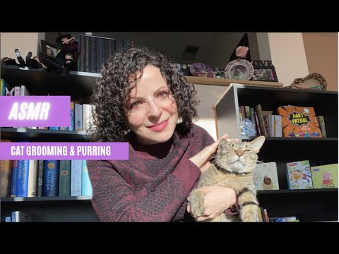 ASMR Cat Grooming and Purring