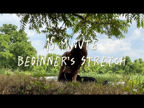 15 MINUTE BEGINNER STRETCH, GUIDED | Alayna