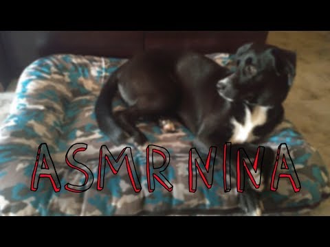 ASMR Con Nina | Sonidos Con Mi Perrita - Sounds With Dog