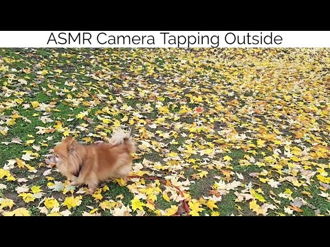 ASMR Camera Tapping Outside(Walk And Tap)Whispered,Lo-fi