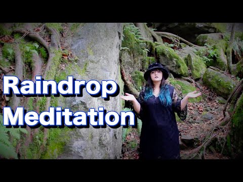 ☔Raindrop Meditation 🌲 Forest Relaxation [Whisper]