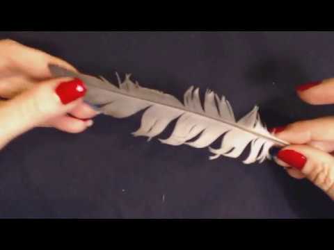 ASMR Whisper ~ Ruffling & Smoothing A Feather