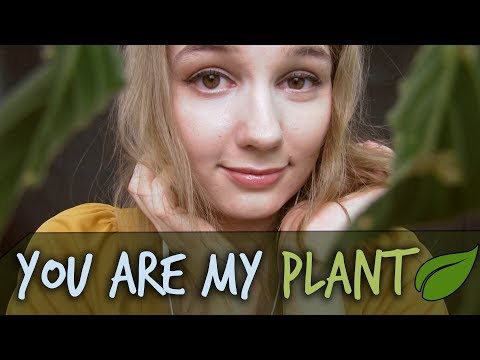 ASMR You Are My Plant! 🌿 Personal Attention Roleplay with Head Massage
