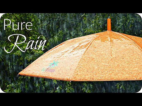 ASMR Rain On Cork Umbrella 8 Hours ☔️ Real Binaural Rain for Sleep & Study (NO THUNDER) White Noise