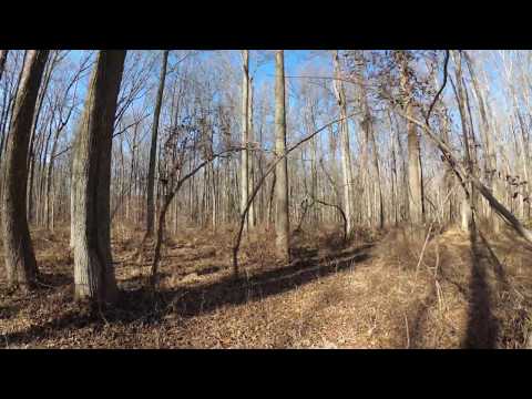 ASMR Hiking Crunching Leaves & Winter Woods (Part 1)