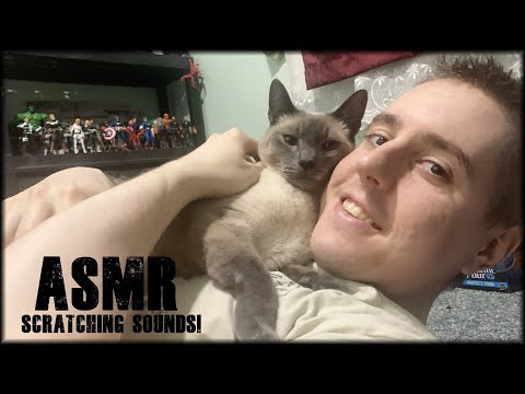 ASMR Cat Scratching✨  💖for RELAXATION and sleep 🐱⭐️✨💖