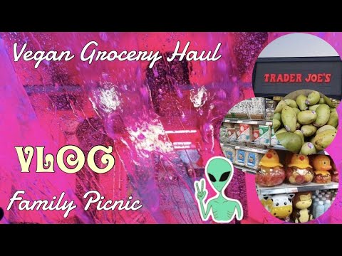 Vlog: Asian Market & Family Picnic 🍚