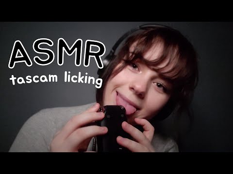 ASMR // Tascam Licking 👅💤