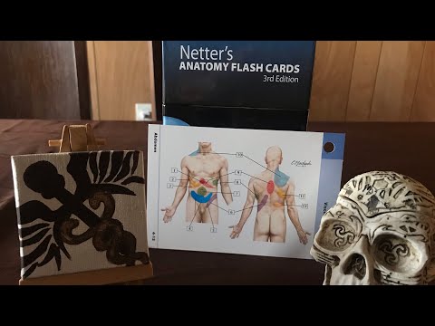 ASMR Español: Minicrofonito: Aprendiendo Anatomía - Dolor visceral referido