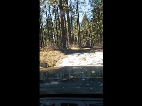 Jeep gets stuck (boss happens to be on a hike, and shows up with family)